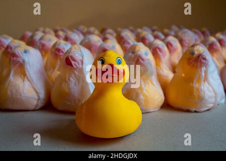 canard de caoutchouc, production de masse, canards de caoutchouc, productions de masse Banque D'Images