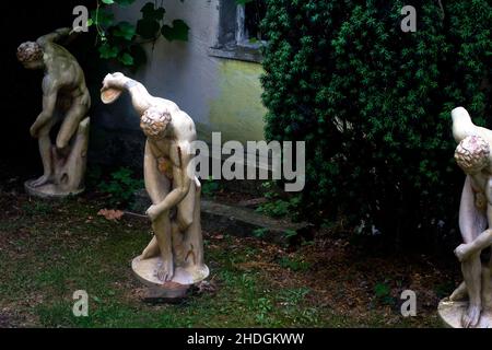 arrière-cour, lanceur de discus, backyards, lanceurs de discus Banque D'Images