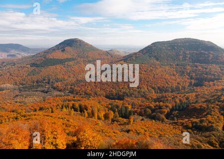 couleurs d'automne, forêt du palatinat, automne, forêts du palatinat Banque D'Images