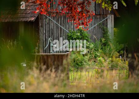 jardin, scène rurale, cabine, pompe, pompe à eau,abri de bois, jardins, pays, vie de pays, rural,scènes rurales, chalets, pompes, pompes à eau, hangars à bois Banque D'Images