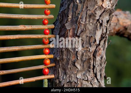 bark, rowan, barks, rowan Banque D'Images