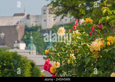 salzbourg, château de hohensalzburg, château mirabell, salzburgs, châteaux de hohensalzburg,châteaux mirabell Banque D'Images