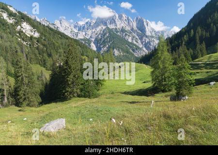 alpes berchtesgaden, bindlam, Mühlsturzhörner Banque D'Images