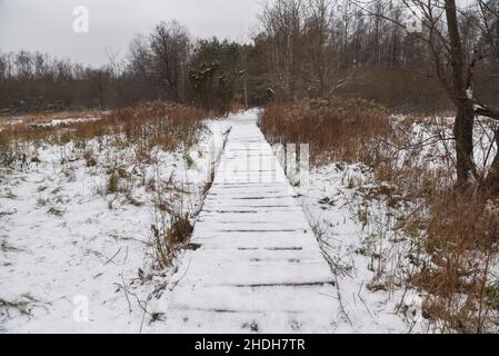 Paysage d'hiver dans le parc national de Kampinos en Pologne. Banque D'Images