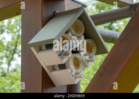 tomtit, maison d'oiseaux, tombes, maisons d'oiseaux Banque D'Images