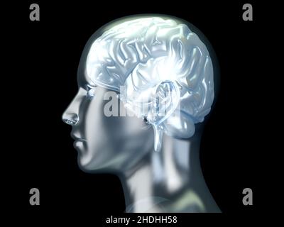 intelligence, cerveau, psychologie, conscience, intelligences,cerveaux, psychanalyse, psychothérapie Banque D'Images