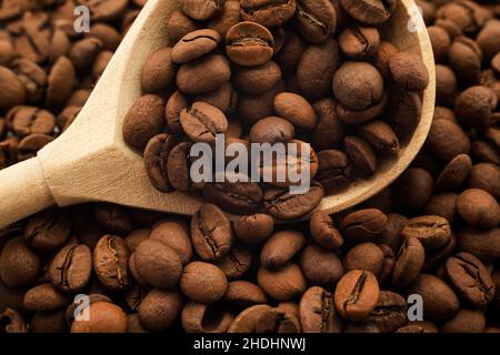 Grains de café .Les grains de café se trouvent dans une cuillère en bois Banque D'Images