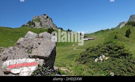 alpes suisses, schynige platte, schynige plattes Banque D'Images