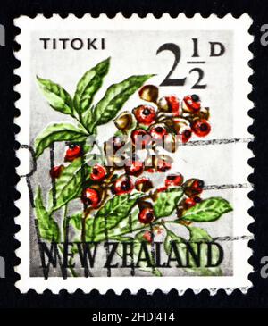 NOUVELLE-ZÉLANDE - VERS 1961 : un timbre imprimé en Nouvelle-Zélande montre Titoki Flower, Alectryon Excelsus, Tree, vers 1961 Banque D'Images