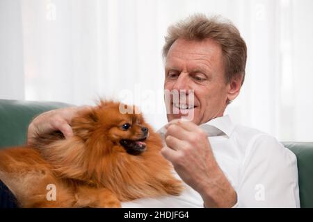 homme, animaux, chien, gars, hommes,animaux de compagnie, chiens Banque D'Images