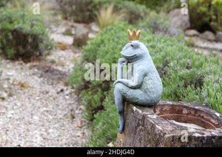 prince de grenouille, roi de grenouille, princes de grenouille Banque D'Images