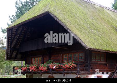 forêt noire, ferme, toit ébréché, maison de forêt noire, forêts noires,bois, fermes, toits ébréchés Banque D'Images