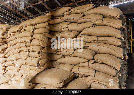 JARABACOA, RÉPUBLIQUE DOMINICAINE - 10 DÉCEMBRE 2018: Sacs de café dans l'usine de café Monte Alto à Jarabacoa, République Dominicaine Banque D'Images