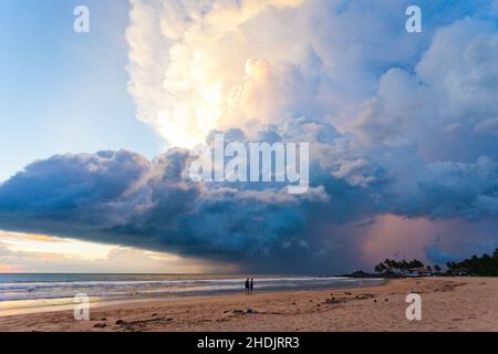 randonnée sur la plage, sri lanka, plage d'ahungalla, sri lankas Banque D'Images