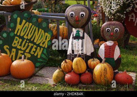 courge, action de grâce, squashs Banque D'Images