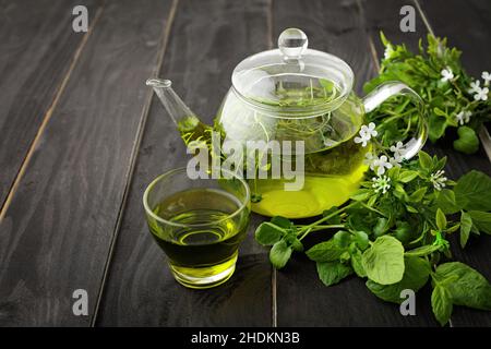 thé, thé vert, tasse à thé, thés, thés verts,tasses à thé Banque D'Images