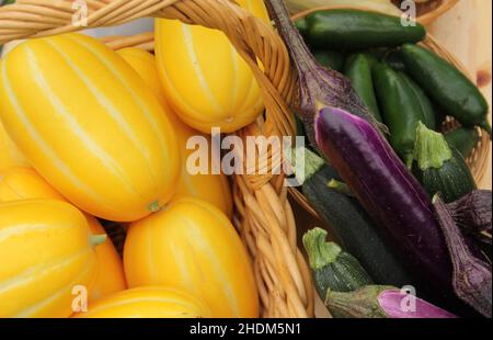 Melons coréens avec aubergines et DodF peu profonde de Jalapeno Peppers Banque D'Images