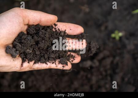 Un gros plan d'une main tenant un sol écologique fertile pour la plantation Banque D'Images