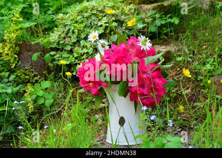 rhododendron, bouquet, chic aux sorbets, rhododendrons, bouquets Banque D'Images