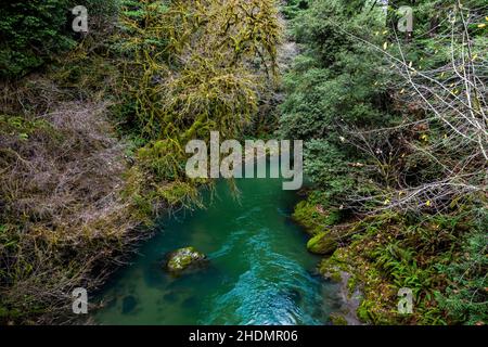 Mill Creek depuis le pont le long de Howland Hill Road dans le parc national Jedediah Smith Redwoods dans les parcs nationaux et nationaux de Redwood, Californie, États-Unis Banque D'Images