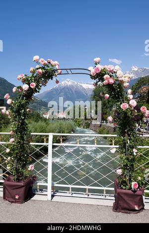 tyrol du sud, merano, roseraie, passant, tyrols du sud,meranos Banque D'Images
