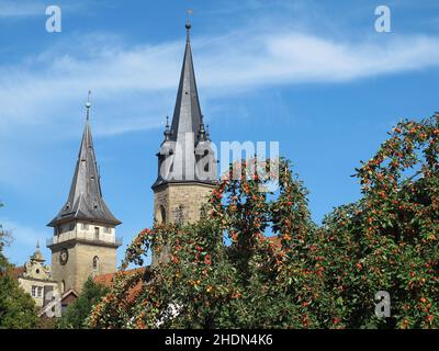 abbaye d'ichruch, öhringen, stiftskirches Banque D'Images