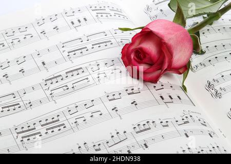musique classique, note musicale, composition, notation, tablature,musiques classiques, notes musicales, compositions, notations, tablatures Banque D'Images