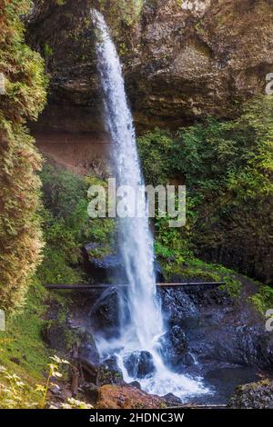 North Falls ; Parc national de Silver Falls ; Oregon ; États-Unis Banque D'Images