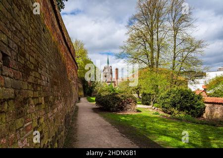 mur de la ville, rostock, jardin du monastère, murs, rostock,jardins du couvent Banque D'Images