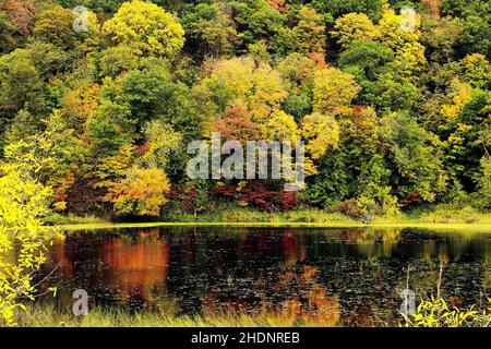 Réflexions sur les couleurs d'automne le long de la rivière Sainte-Croix près du pont Osceola, Osceola, Wisconsin, États-Unis - 4 octobre 2009 Banque D'Images