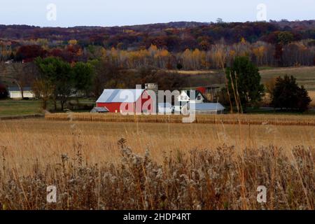 Ferme avec maison et grange rouge contre les belles collines de couleur d'automne dans le pays près de St. Croix Falls, Wisconsin USA - 21 octobre 2008 Banque D'Images