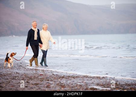 senior, couple, plage, promenade, personnes âgées,vieux, aînés, couples, plages, bord de mer,marche Banque D'Images