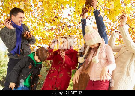 feuilles d'automne, famille, exubérance, feuille, familles,exubérances Banque D'Images