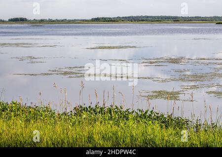 Le lac Phantom est situé dans la réserve naturelle de Crex Meadows, une propriété faunique de 30 000 acres gérée par le Natural Resources-Bureau of Wildlife Banque D'Images