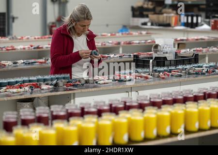 PRODUCTION - 07 décembre 2021, Basse-Saxe, Nesselröden: Marion Adanschewski, roulette de bougie, étiquettes de pots de bougie à la fabrique de bougie.Depuis 2006, Candle Factory produit des bougies à partir de stéarine de culture durable à Eichsfeld, près de Duderstadt.Photo: Swen Pförtner/dpa Banque D'Images