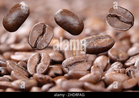 café, grains de café, arabica, cafés, grains de café,arabicas Banque D'Images