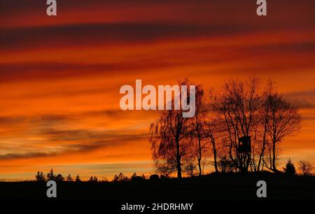 coucher de soleil, siège haut, forêt, couchers de soleil, sièges hauts,forêts, bois, bois, bois Banque D'Images