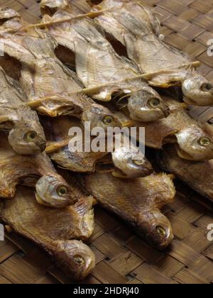 poissons séchés, poissons à fond, poissons séchés, poissons à fond Banque D'Images