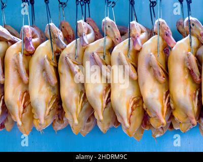 canard, viande de canard, canards, viandes Banque D'Images