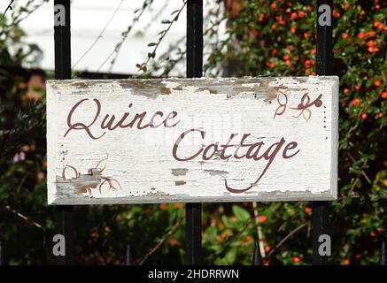 panneau du cottage quince à la porte, norfolk, angleterre Banque D'Images