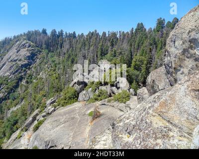 parc national de yosemite, parcs nationaux de yosemite Banque D'Images