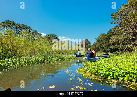 Kayak sur le Rio Istian, île d'Ometepe, Nicaragua Banque D'Images