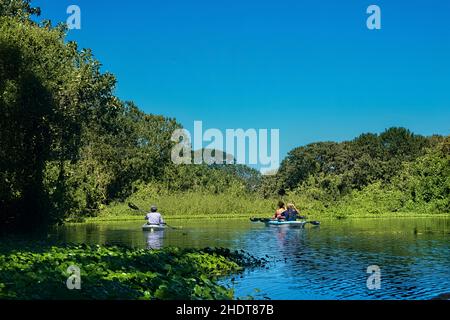 Kayak sur le Rio Istian, île d'Ometepe, Nicaragua Banque D'Images