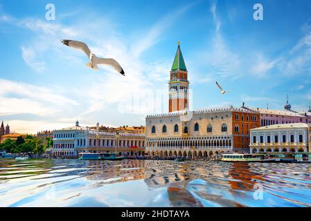 st mark's campanile, st mark's campaniles Banque D'Images