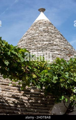 Vignes sur le toit en pierre de Trulli Chambre à Alberobello, Italie. Le style de construction est spécifique à la zone Murge de la région italienne de l'un Banque D'Images