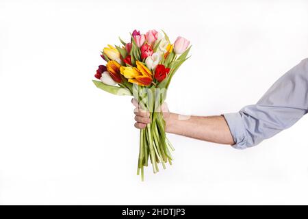 bouquet, bouquet de tulipes, remise, bouquets, bouquets de tulipes,à propos de richs Banque D'Images