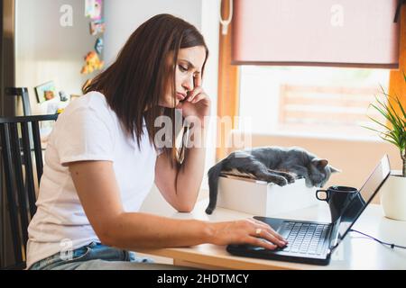 Jeune femme en t-shirt blanc assis avec un chat sur ses genoux à la table en bois à la maison avec ordinateur portable et ordinateur portable, travaillant Banque D'Images