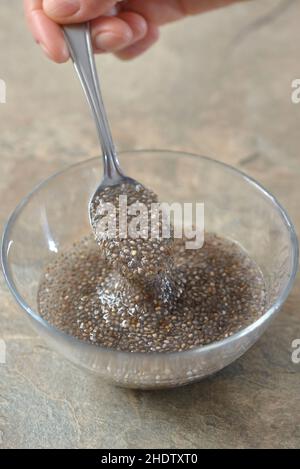 graines de chia, superaliment, gel de chia Banque D'Images