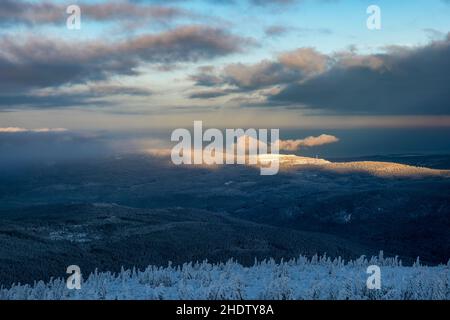 pics de montagne illuminés par les rayons du soleil levant, pin de montagne enneigé au premier plan, de beaux nuages obscurcissent partiellement Banque D'Images