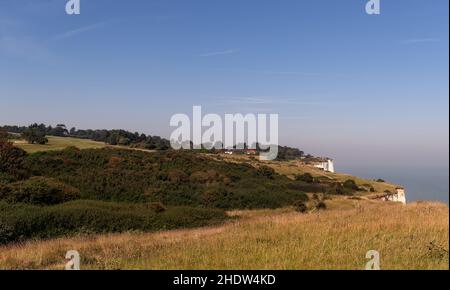 Herbage sur les falaises blanches de Douvres, Royaume-Uni. Banque D'Images
